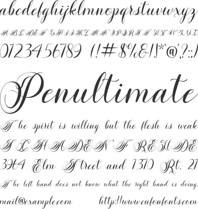 Friday night font preview