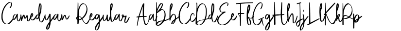 Camedyan Regular font