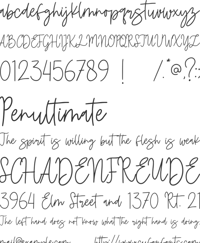 Fiandata Marlyne font preview