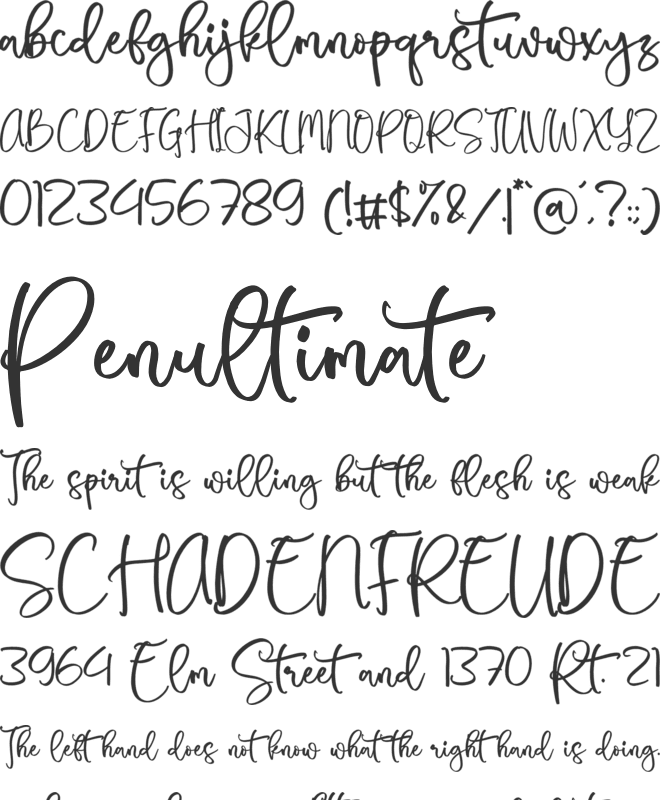 Beverly font preview