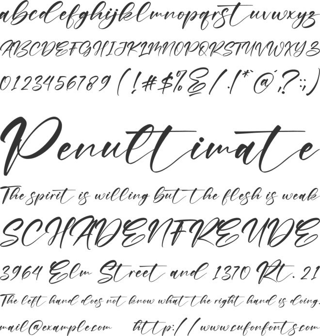 Raylight font preview