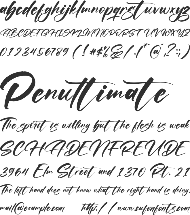 Asetry Fonte font preview
