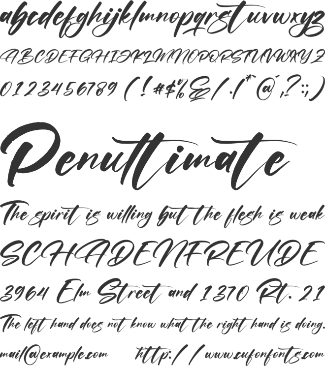 Asetry Fonte font preview