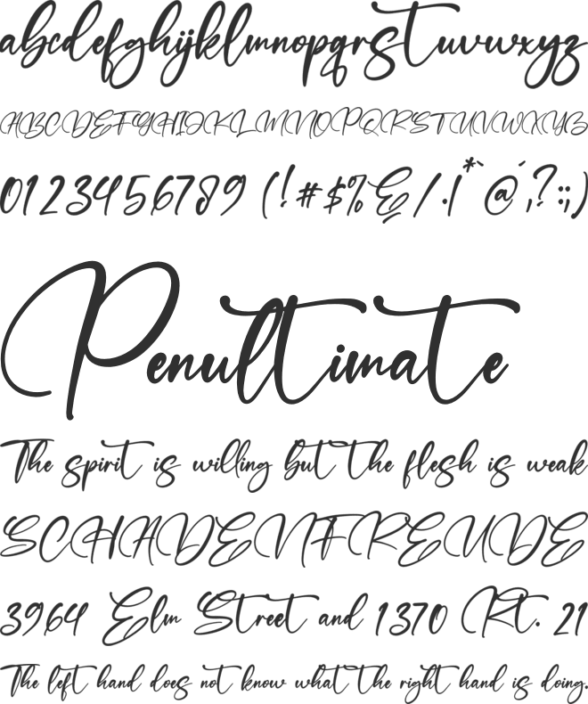 Refliottis font preview