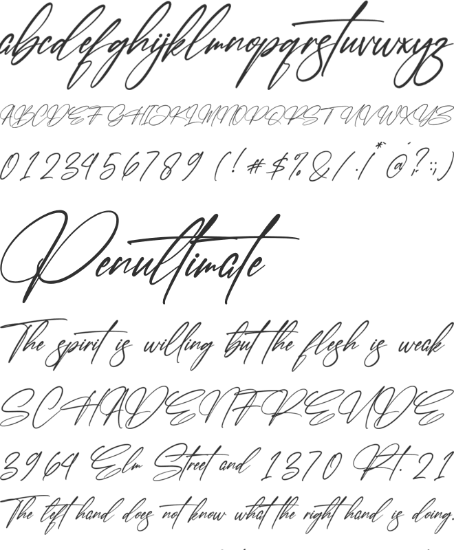 Faithfull Signature font preview