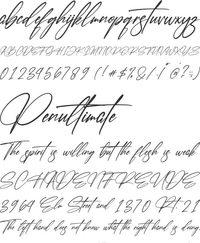 Faithfull Signature font preview
