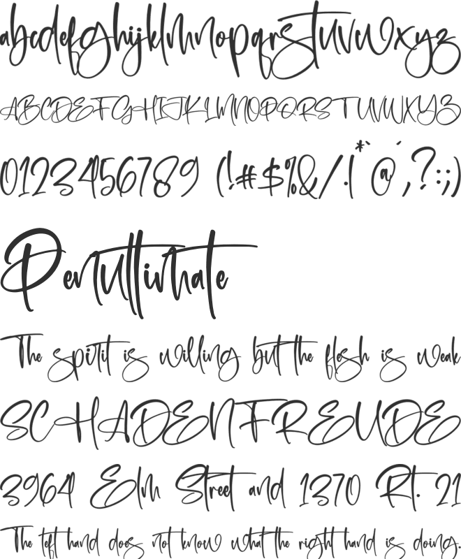Puertariko font preview