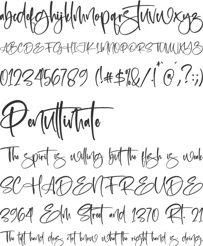 Puertariko font preview