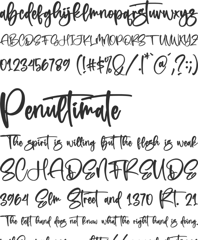 Falermost Signateria font preview