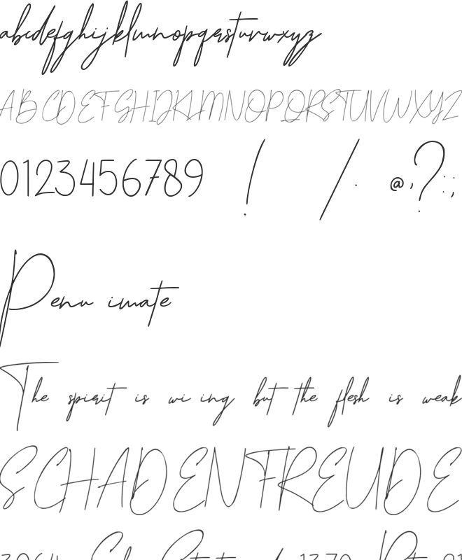 Signature Austine font preview