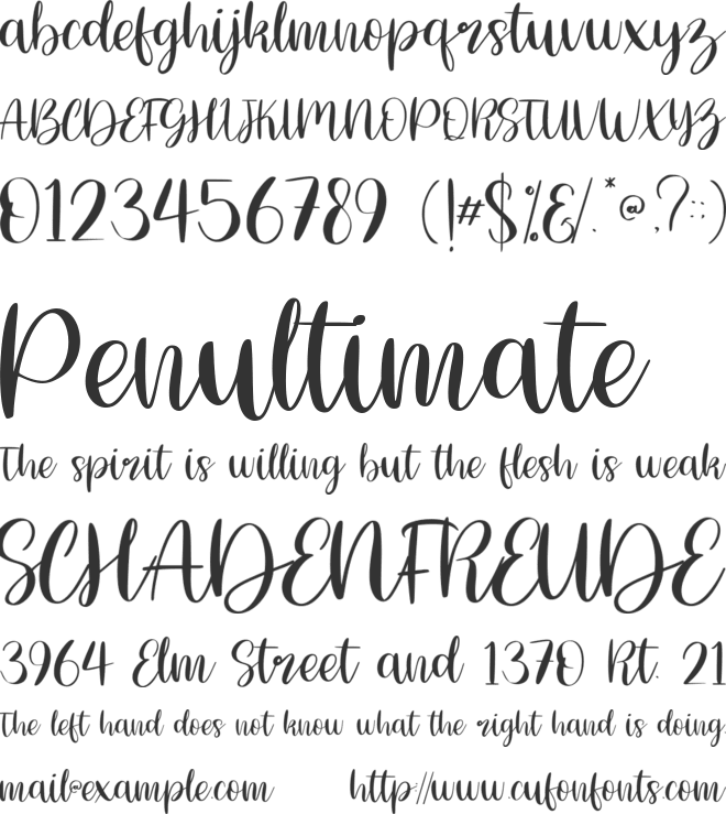 Angelica font preview