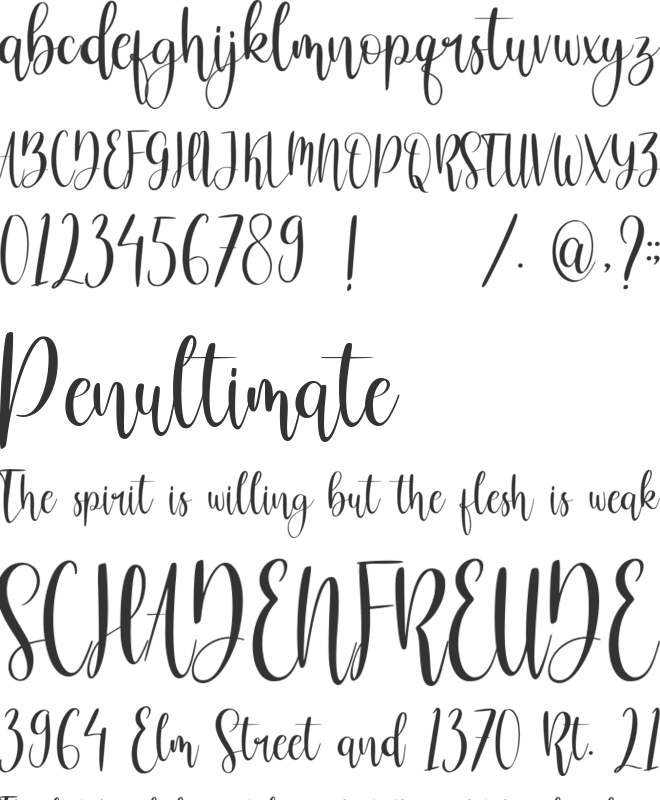 Charlotte Shine font preview