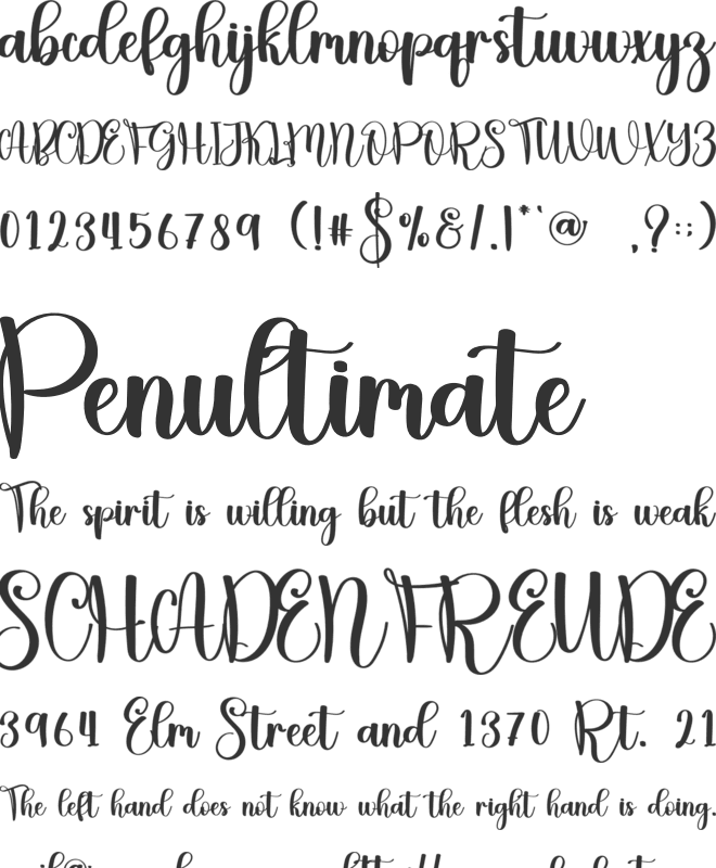 Amellda font preview