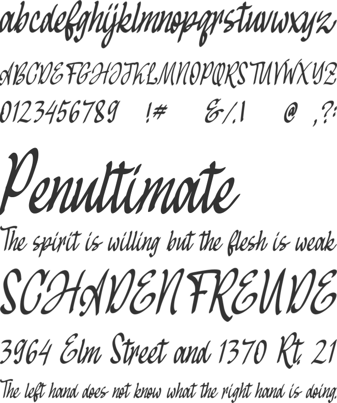 Reynaldoha font preview