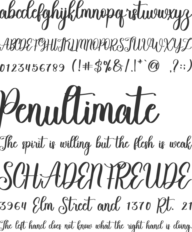 Santina font preview