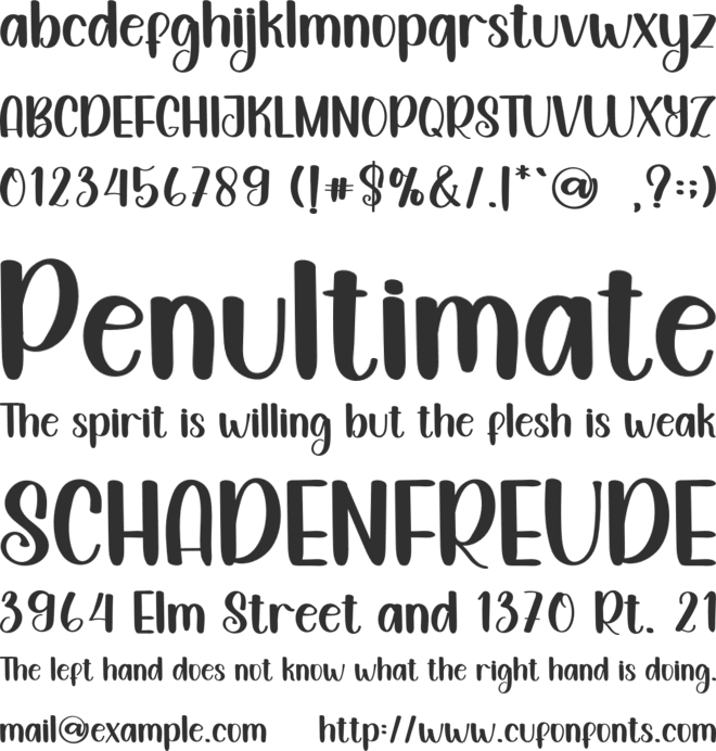 Holiday Paradise font preview