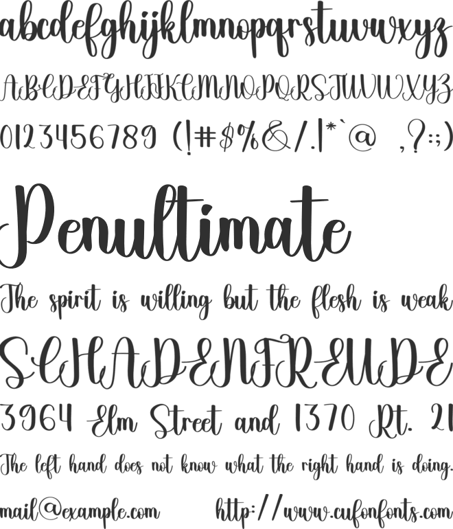 Special font preview