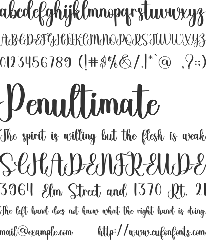 Special font preview