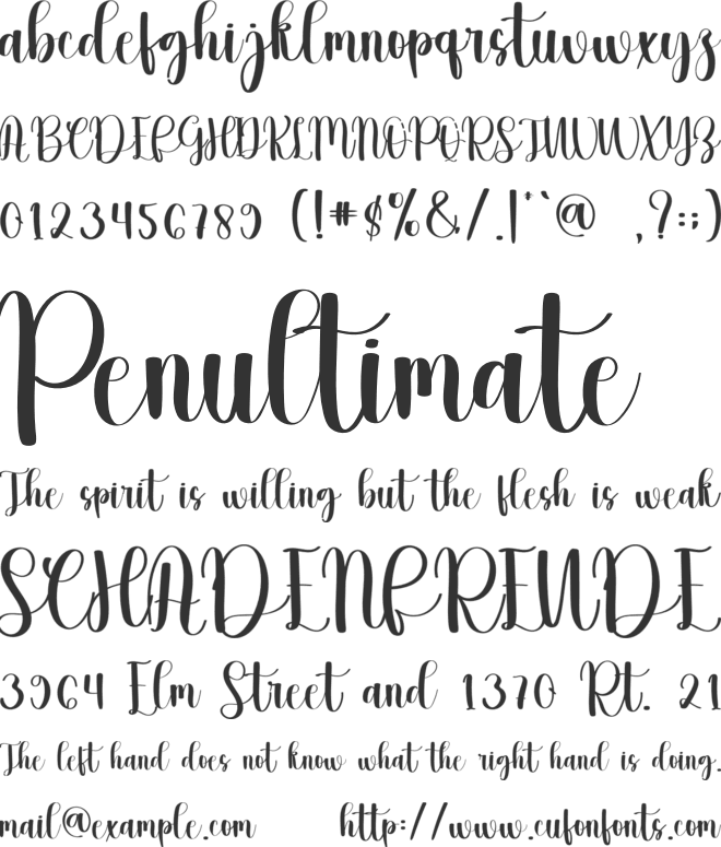 WisH Farmhouse font preview