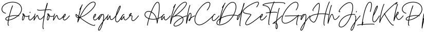 Pointone font download