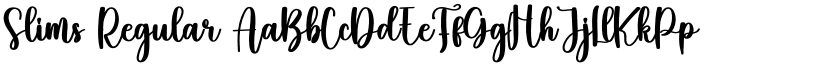 Slims Regular font