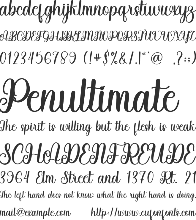 Williams font preview