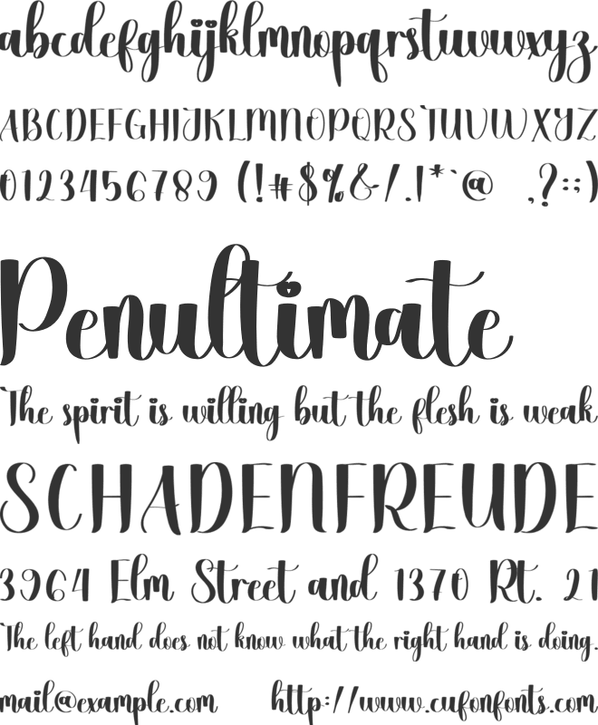 Palapa font preview