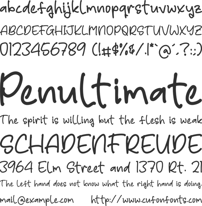 Rafley Notes font preview