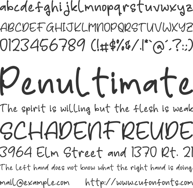 Rafley Notes font preview