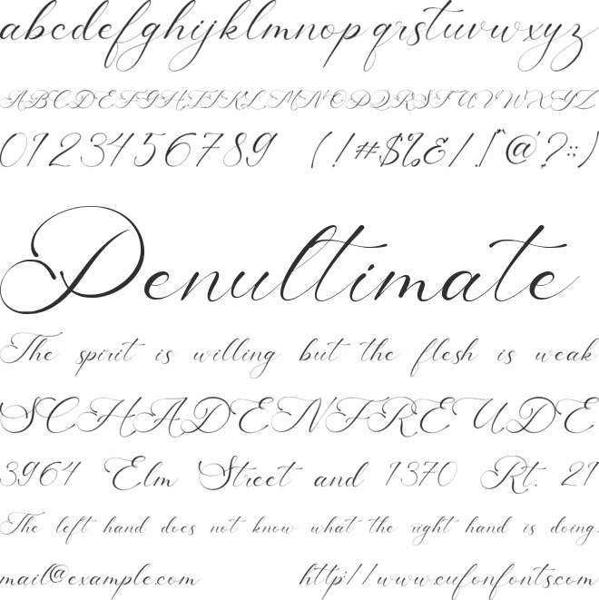 America Calligraphy font preview