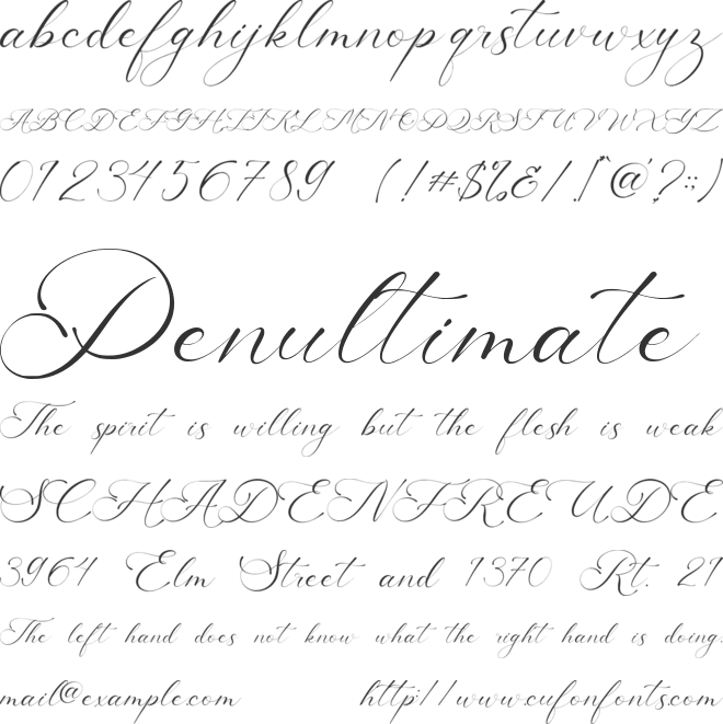 America Calligraphy font preview