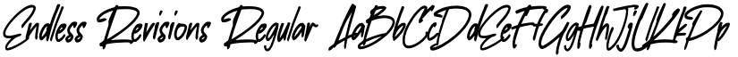 Endless Revisions Regular font