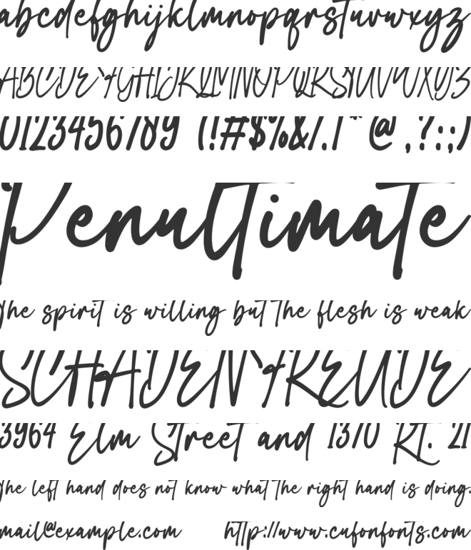 Cristiano Signature font preview