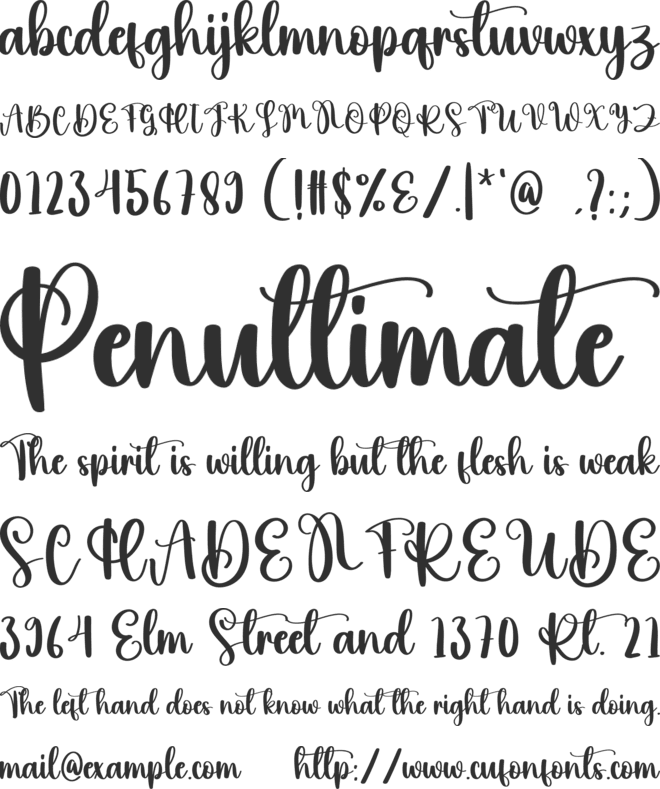 Holiday Birthday font preview