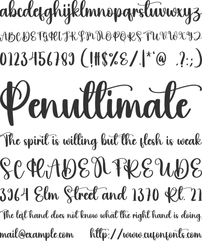Holiday Birthday font preview