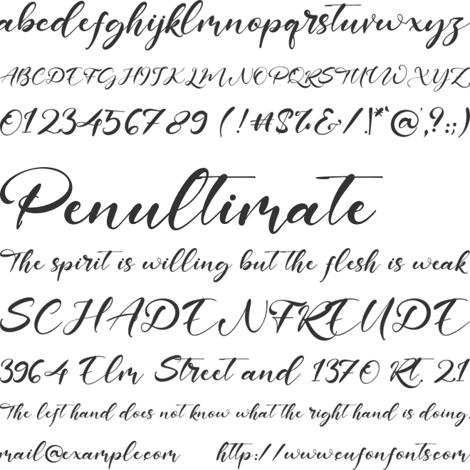 Sage Leaves font preview