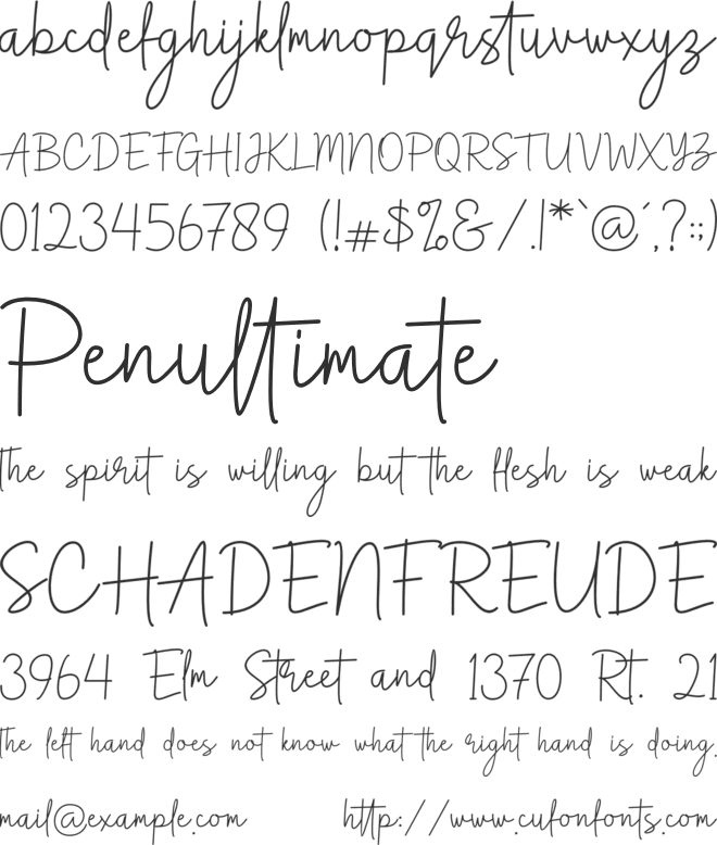 Anthem Minimalism script font preview