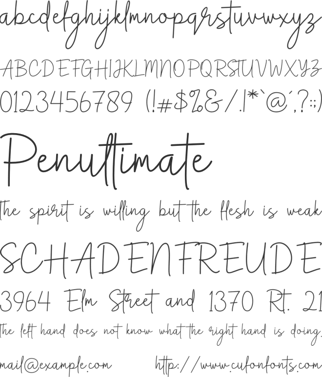 Anthem Minimalism script font preview