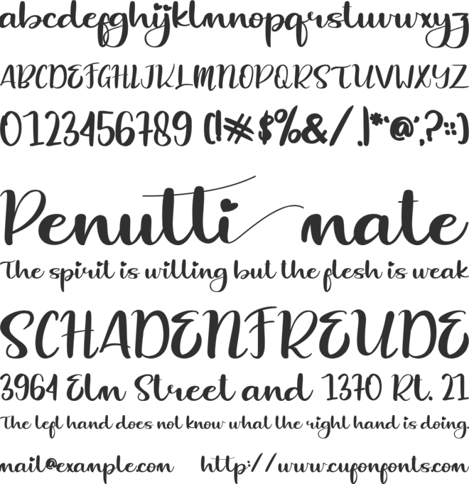 Pigookle font preview