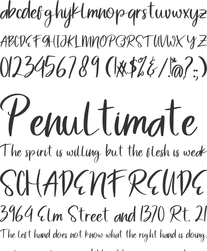 Both Bottle font preview