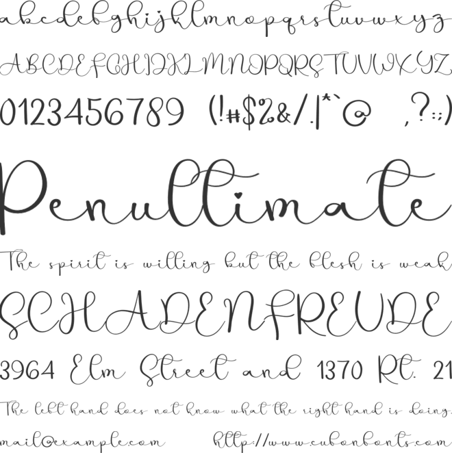 The House font preview