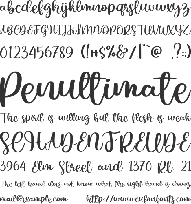 Cast Only font preview