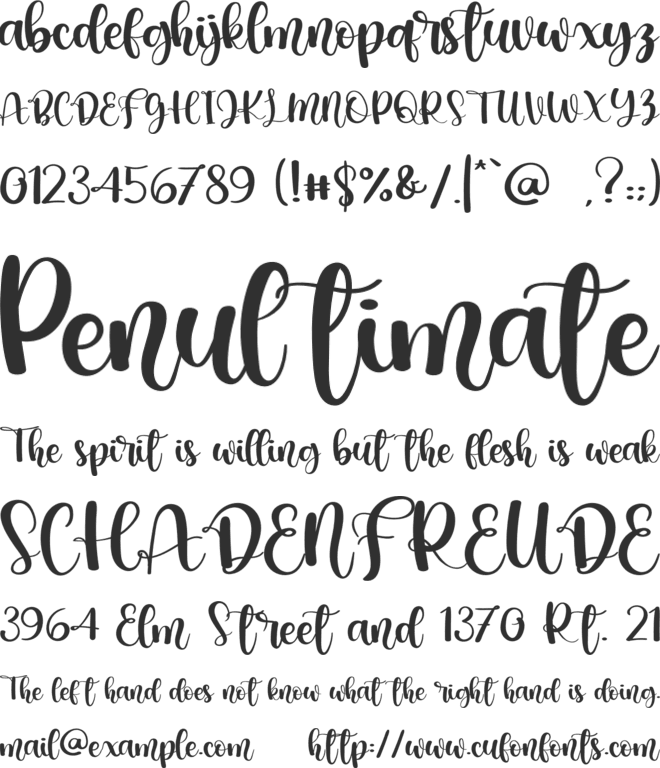 Angel Wedding font preview