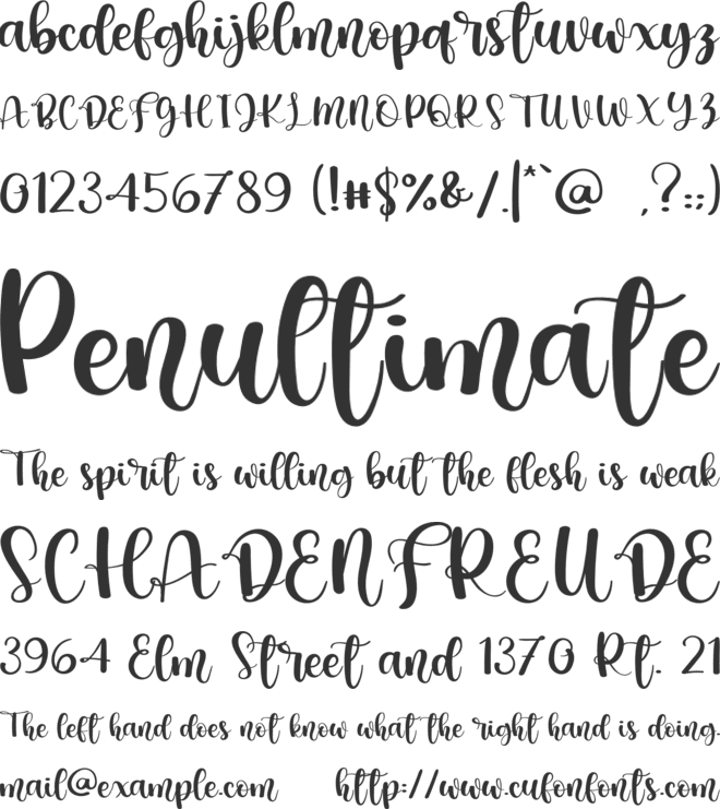 Angel Wedding font preview