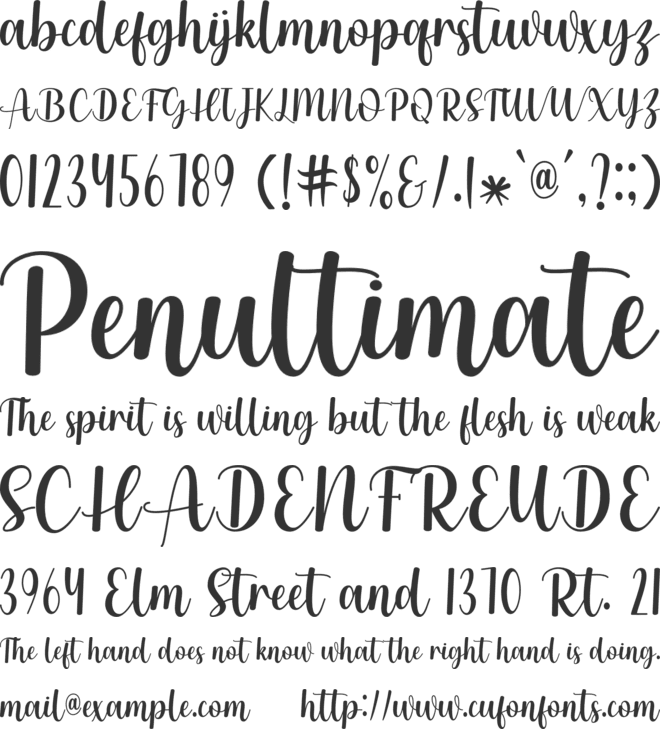 Asley font preview