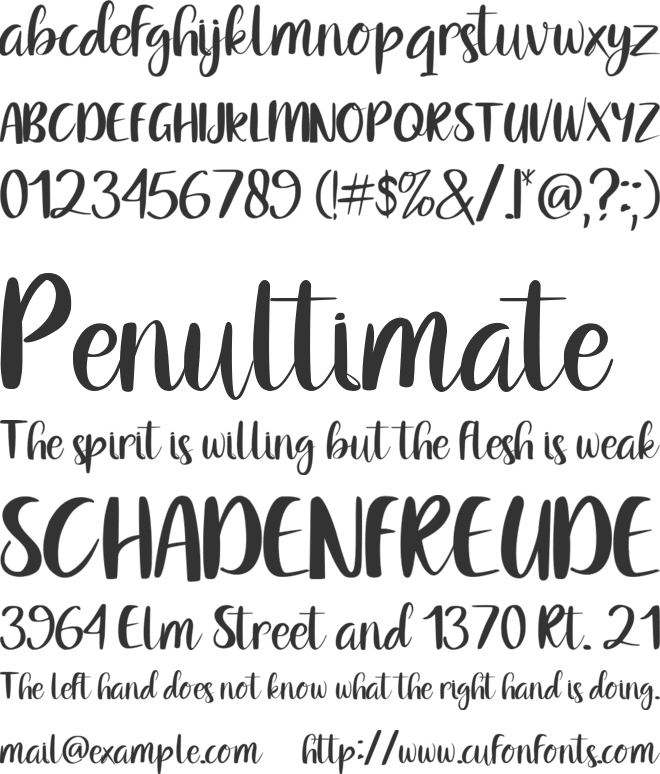 Water dolphin font preview