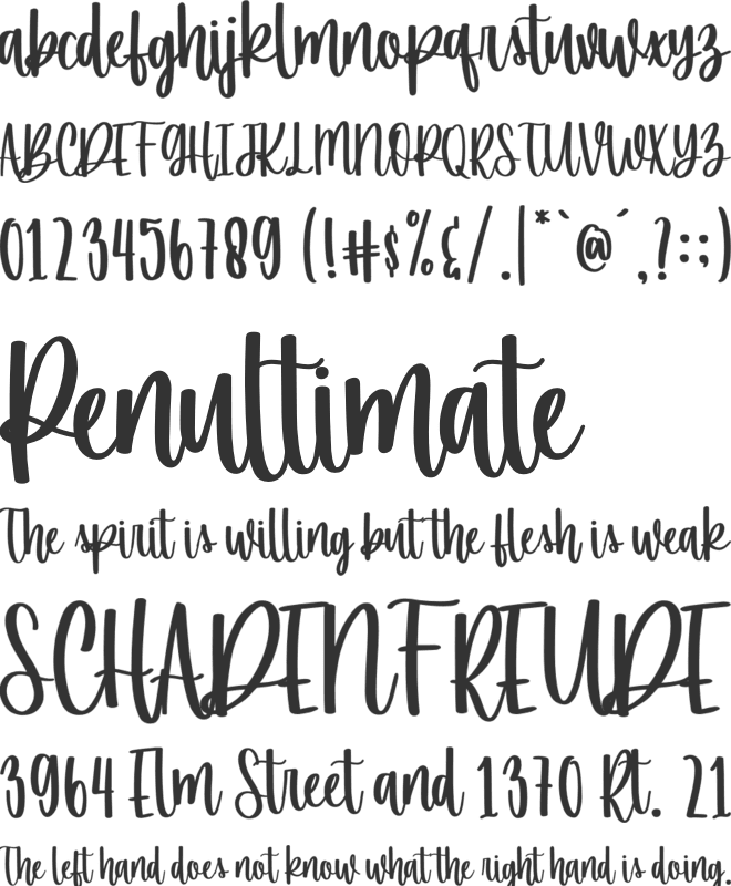 Spring Market font preview