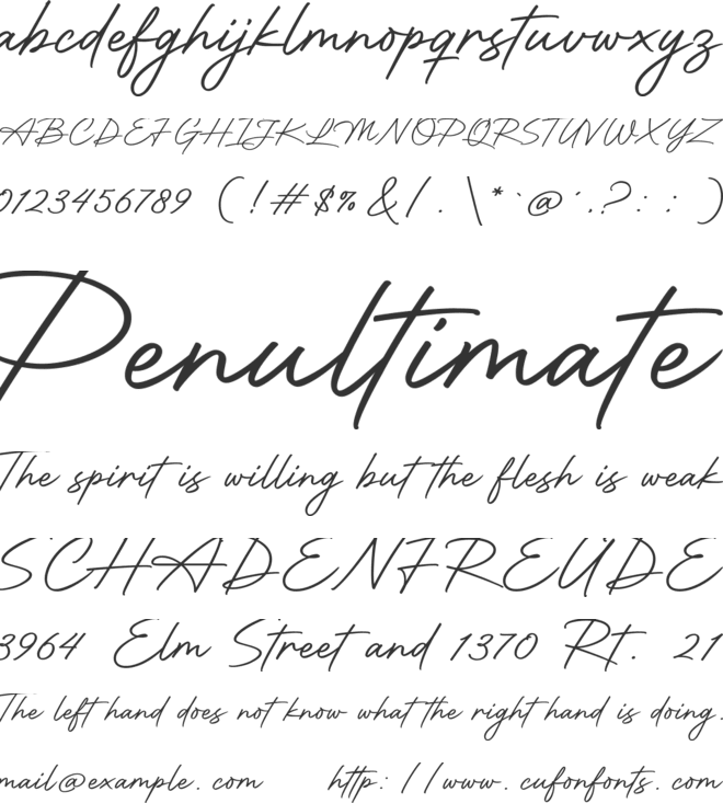 Motherland Signature font preview