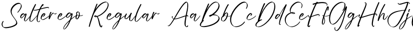 Salterego font download