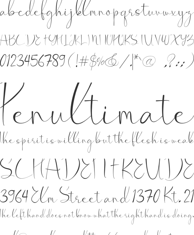 Scoppy Line font preview